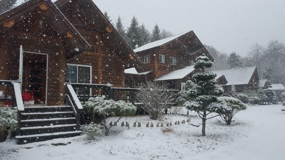 Klotzhime Pension Pyeongchang Exteriör bild